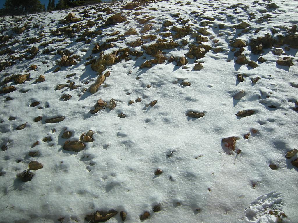 fall09 038